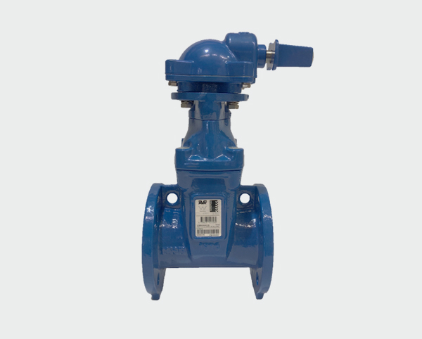 AVK SERIES 570 WITH 758 GEARBOX GATE VALVE