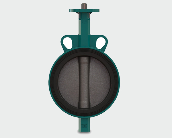 DESPONIA Butterfly valve DN 25 1600